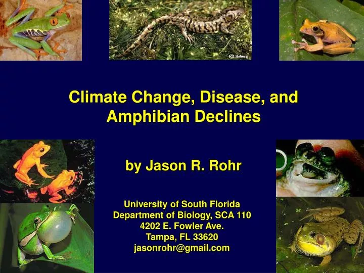climate change disease and amphibian declines