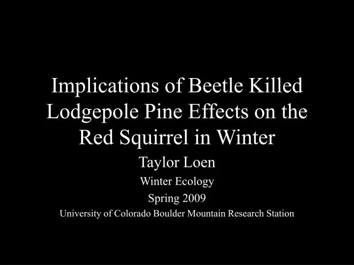 implications of beetle killed lodgepole pine effects on the red squirrel in winter