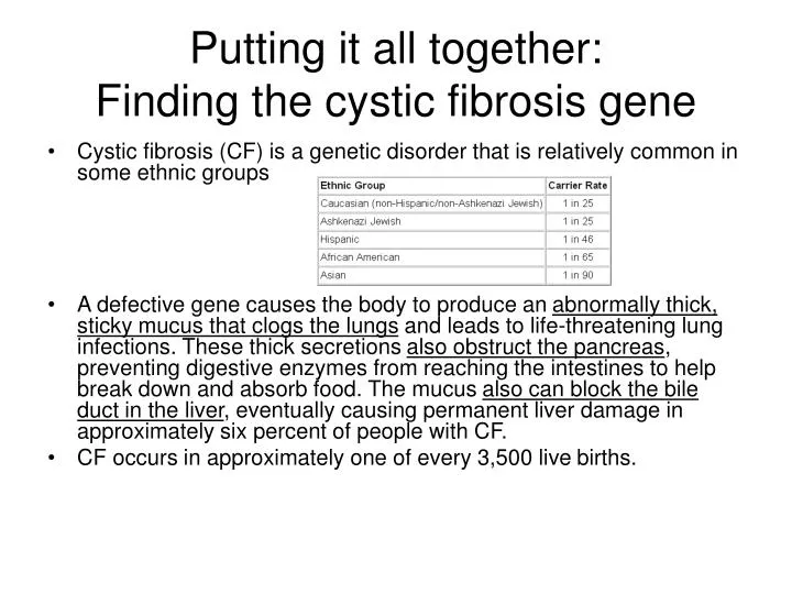 putting it all together finding the cystic fibrosis gene