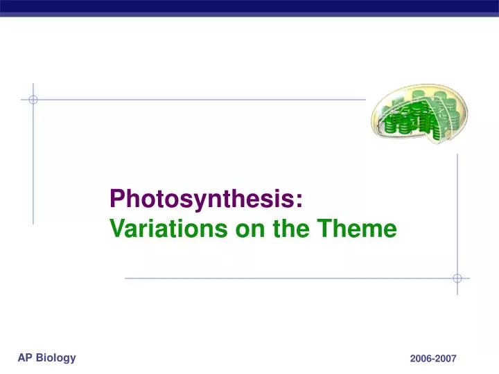 photosynthesis variations on the theme
