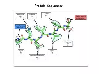 Protein Sequences