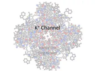 K + Channel