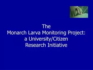 The Monarch Larva Monitoring Project: a University/Citizen Research Initiative