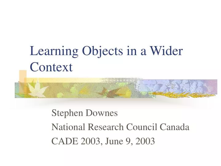 learning objects in a wider context