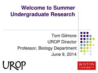 Welcome to Summer Undergraduate Research