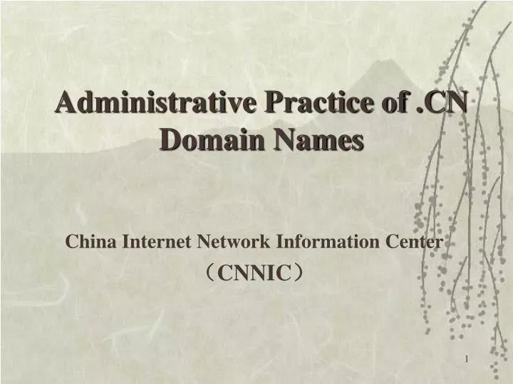 china internet network information center cnnic