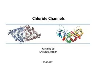 Chloride Channels
