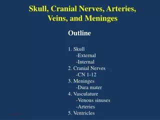 Skull, Cranial Nerves, Arteries, Veins, and Meninges