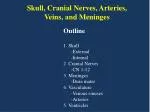 Skull, Cranial Nerves, Arteries, Veins, and Meninges - slide 1