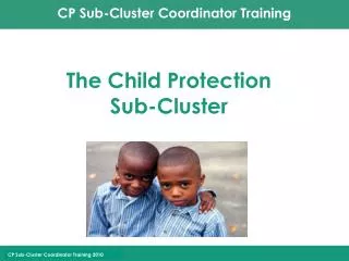 The Child Protection Sub-Cluster