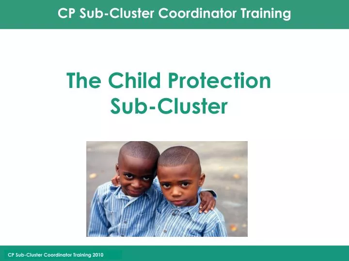 the child protection sub cluster