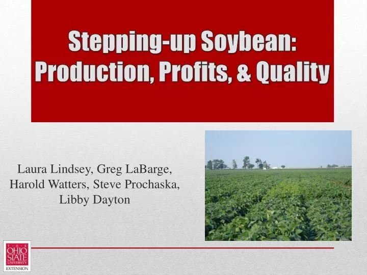 stepping up soybean production profits quality