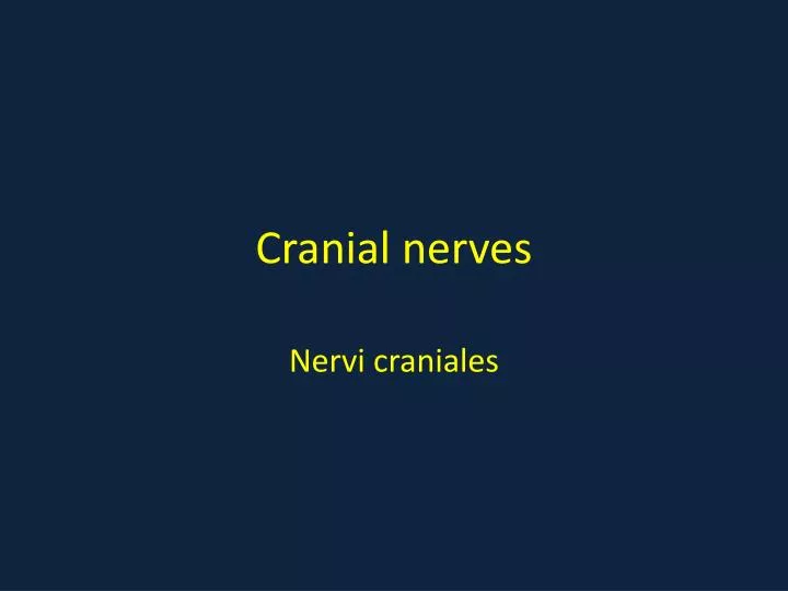 cranial nerves