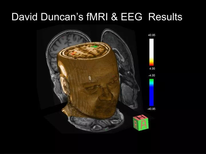david duncan s fmri eeg results