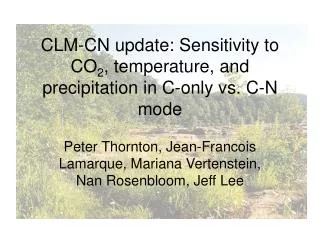 CLM-CN update: Sensitivity to CO 2 , temperature, and precipitation in C-only vs. C-N mode