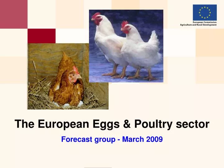 the european eggs poultry sector