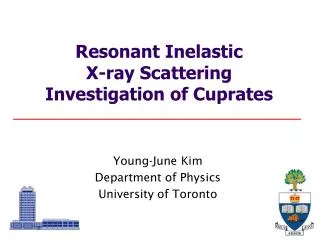 Resonant Inelastic X-ray Scattering Investigation of Cuprates