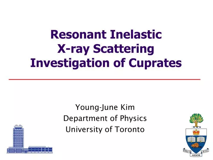 resonant inelastic x ray scattering investigation of cuprates