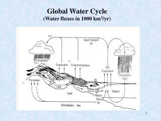 Global Water Cycle (Water fluxes in 1000 km 3 /yr)