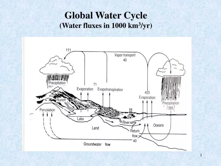 global water cycle water fluxes in 1000 km 3 yr