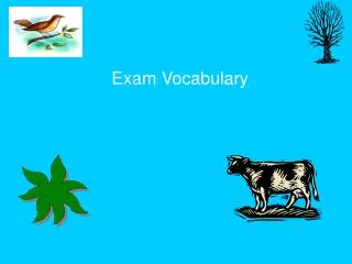 Exam Vocabulary