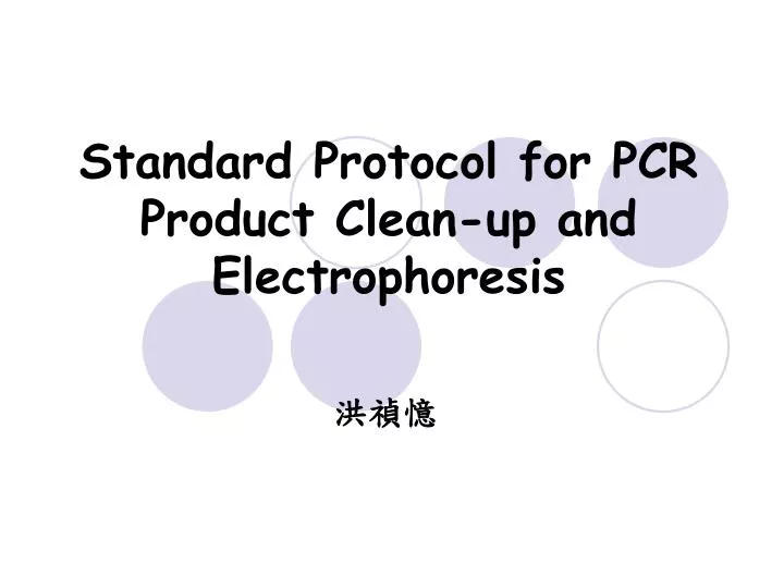 standard protocol for pcr product clean up and electrophoresis