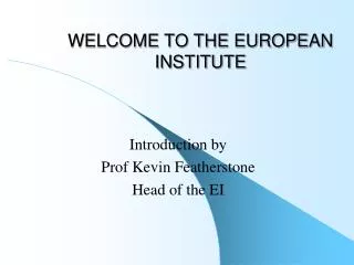 WELCOME TO THE EUROPEAN INSTITUTE