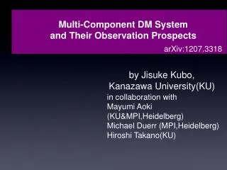 Multi-Component DM System and Their Observation Prospects