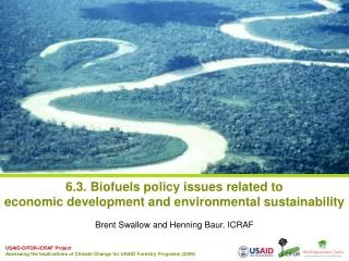 6.3. Biofuels policy issues related to economic development and environmental sustainability