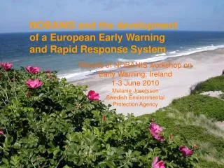 NOBANIS and the development of a European Early Warning and Rapid Response System