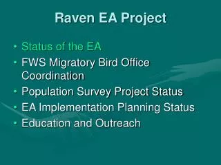 Raven EA Project