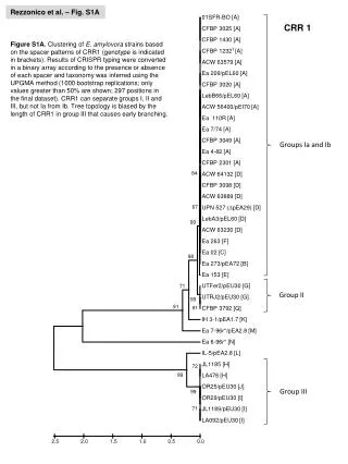 Rezzonico et al. – Fig. S1A