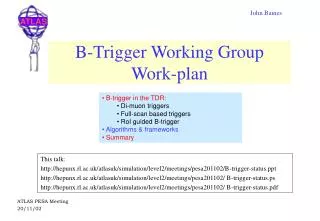 B-Trigger Working Group Work-plan