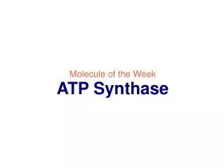 Molecule of the Week ATP Synthase