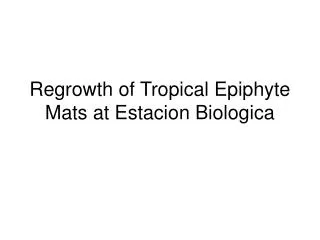 Regrowth of Tropical Epiphyte Mats at Estacion Biologica