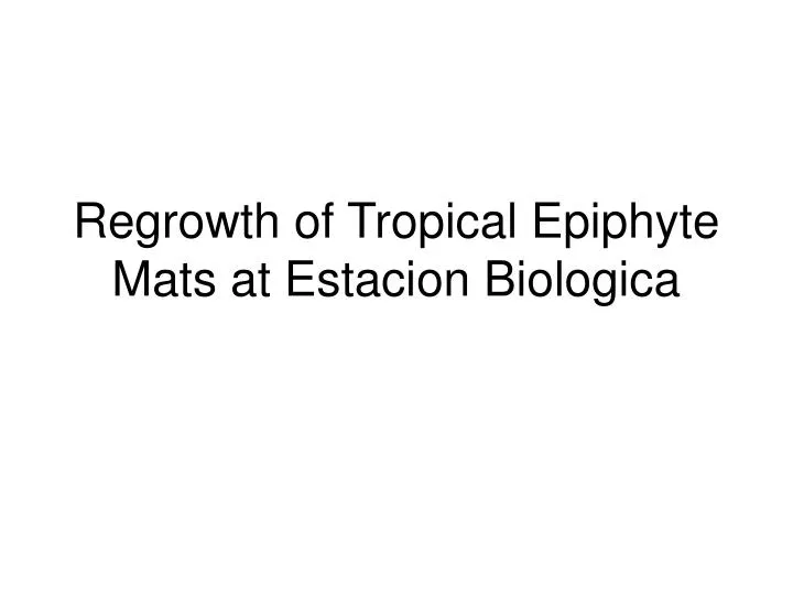 regrowth of tropical epiphyte mats at estacion biologica