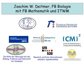 Joachim W. Deitmer, FB Biologie mit FB Mathematik und ITWM