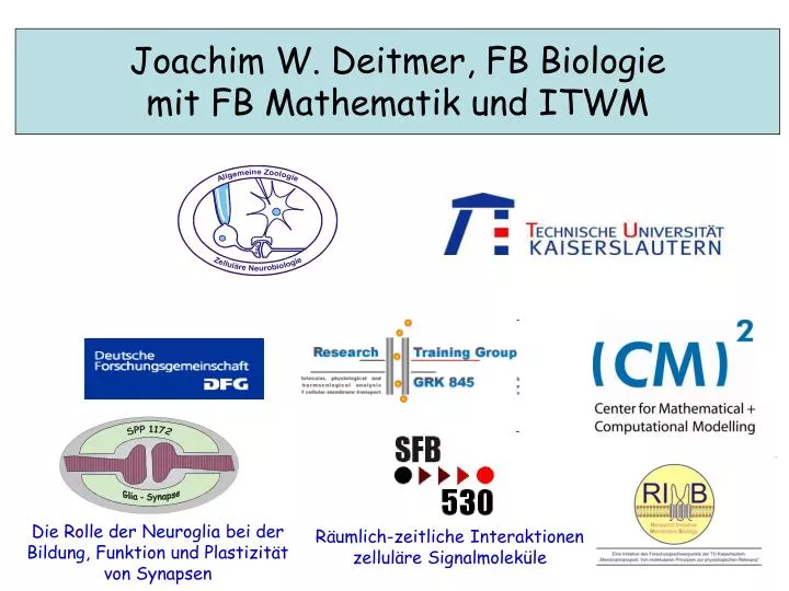 joachim w deitmer fb biologie mit fb mathematik und itwm