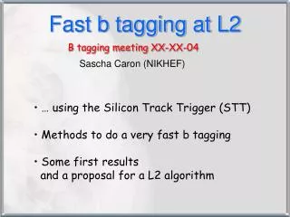 Fast b tagging at L2