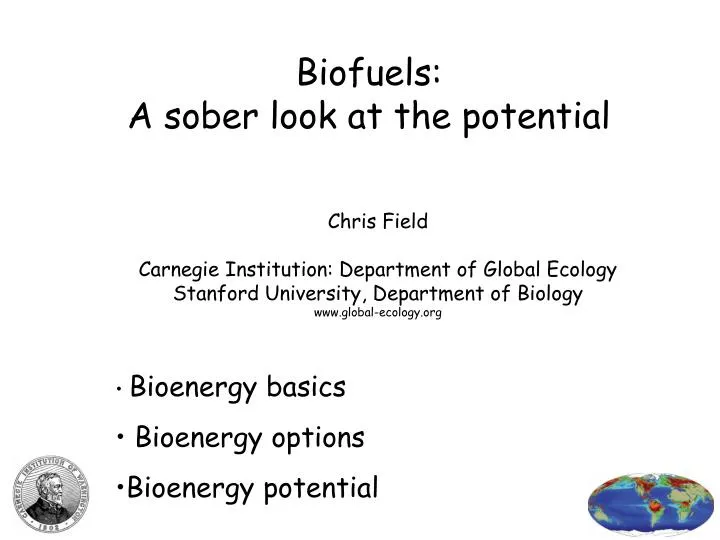 biofuels a sober look at the potential