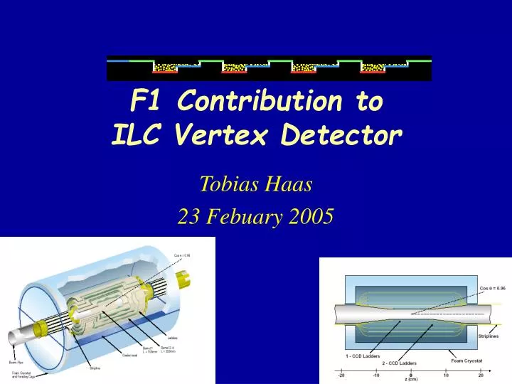 f1 contribution to ilc vertex detector
