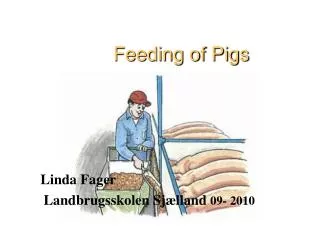 Feeding of Pigs