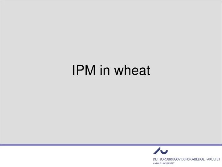 ipm in wheat