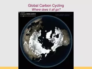 Global Carbon Cycling Where does it all go?