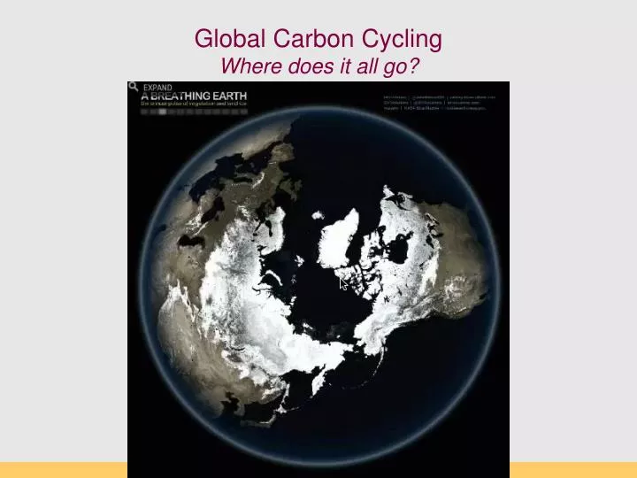 global carbon cycling where does it all go