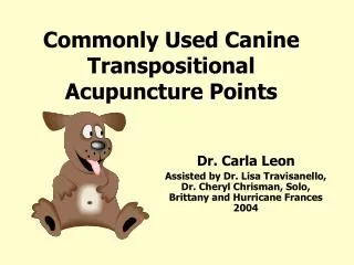 Commonly Used Canine Transpositional Acupuncture Points