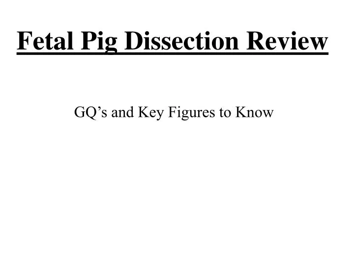 fetal pig dissection review