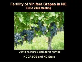 Fertility of Vinifera Grapes in NC SERA 2008 Meeting