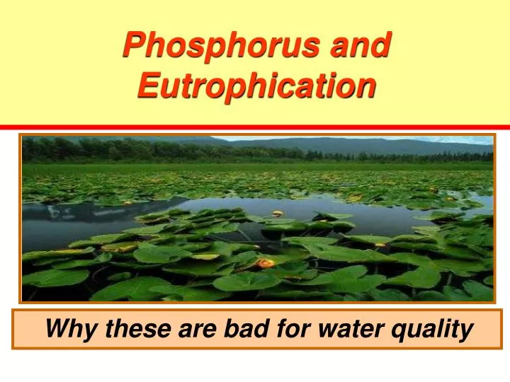phosphorus and eutrophication