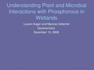 Understanding Plant and Microbial Interactions with Phosphorous in Wetlands